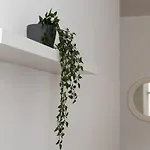 公寓 Sotto Casa C'e Mentre Dentro Abita Bukowski *